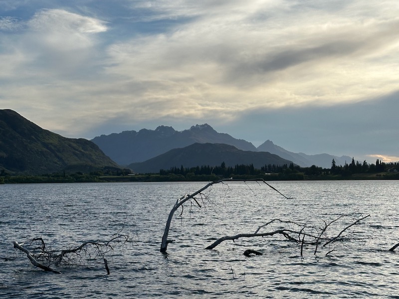 Swimming in Lake Hayes Queenstown