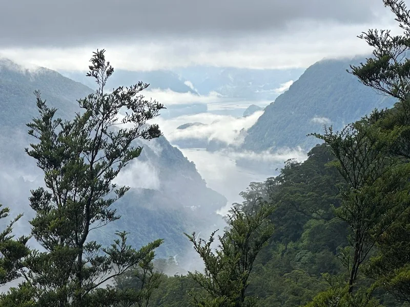 What is Doubtful Sound