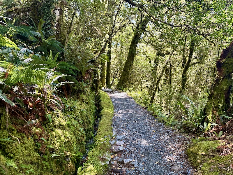 What to Expect on Lake Marian Trail