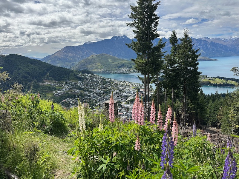 Why Stay in Queenstown New Zealand