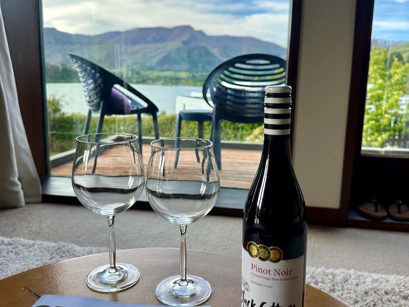 Wine Tasting in Lake Hayes Queenstown