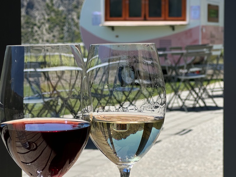 Wine Varietals to Expect in Central Otago Queenstown Wineries