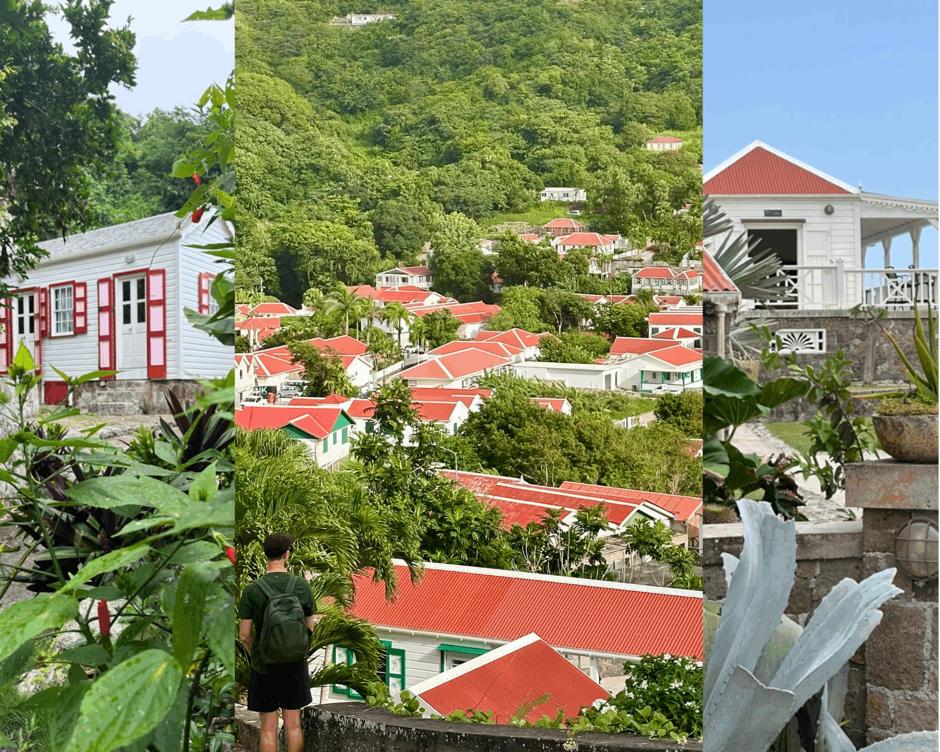 Where to Stay in Saba
