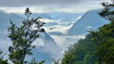 best doubtful sound cruise options from queenstown and te anu