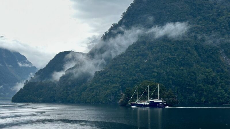 best doubtful sound overnight cruise options