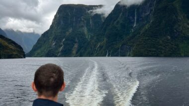 which doubtful sound cruise is best for you