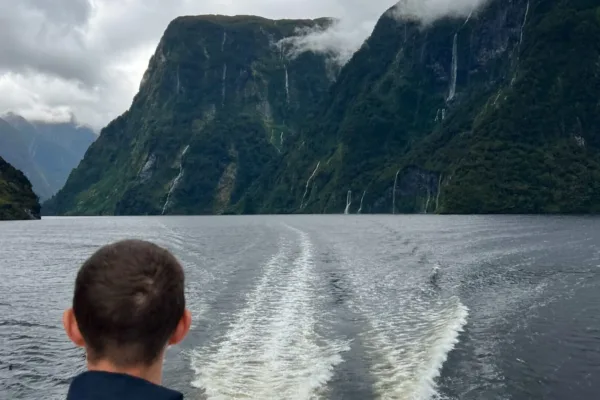 which doubtful sound cruise is best for you