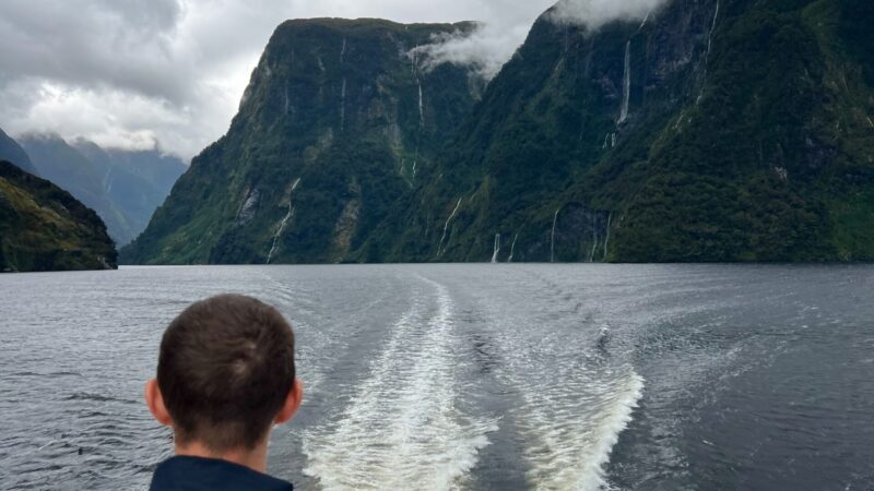 which doubtful sound cruise is best for you