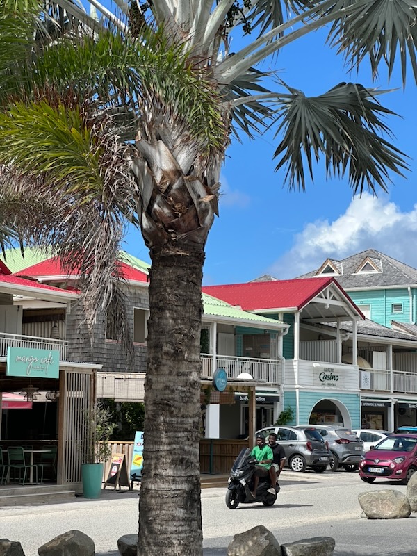 Downtown Orient Bay St Martin