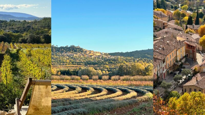 Provence travel guide & Tips for Visiting
