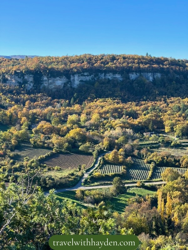 Vibrant autumn landscape with vineyards in Provence travel tips