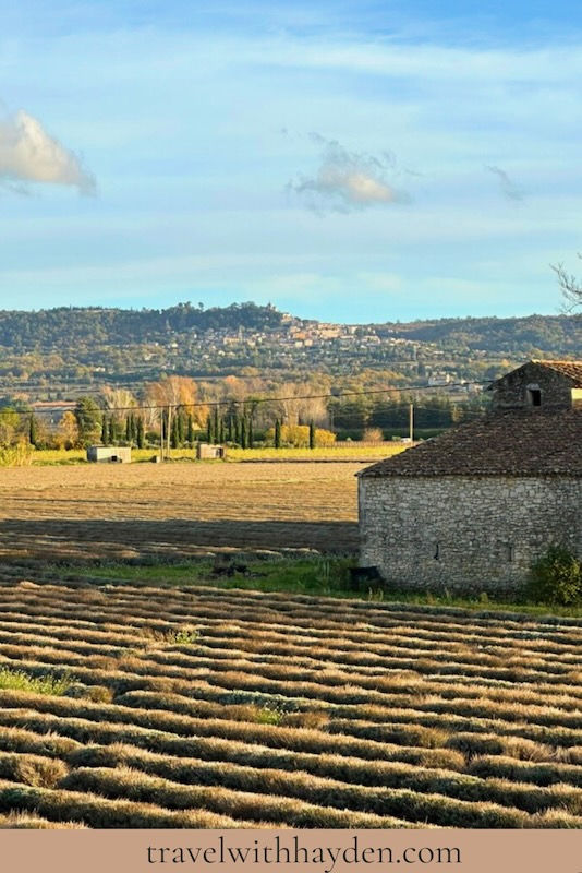 off season lavender fields in provence