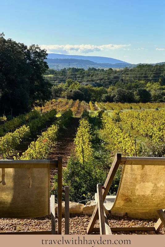 Vineyard view with relaxing chairs.