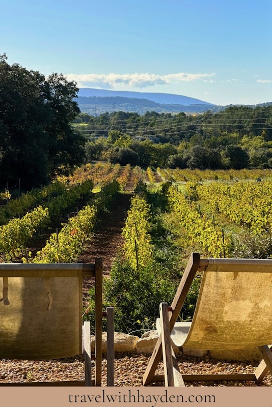 Vineyard view with relaxing chairs.