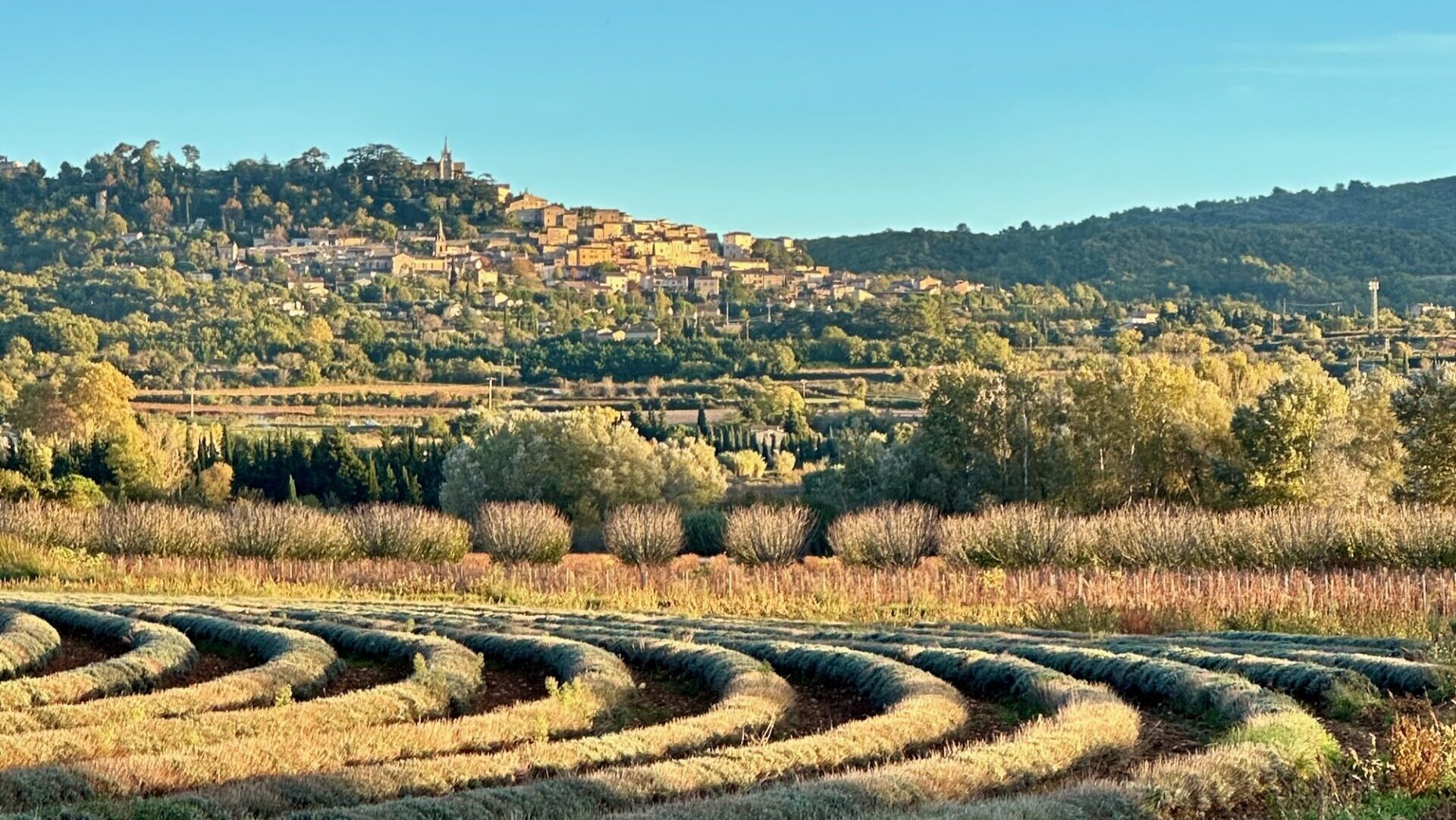 best things to do in provence France