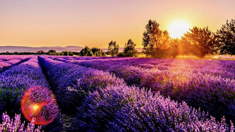 summer in provence best time to visit provence