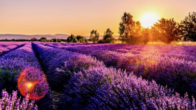 summer in provence best time to visit provence