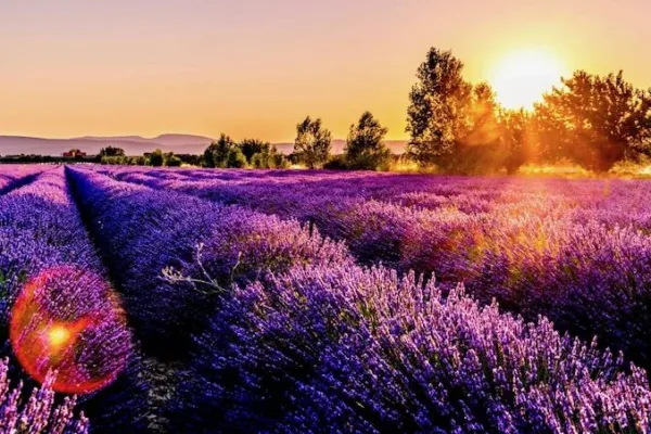summer in provence best time to visit provence
