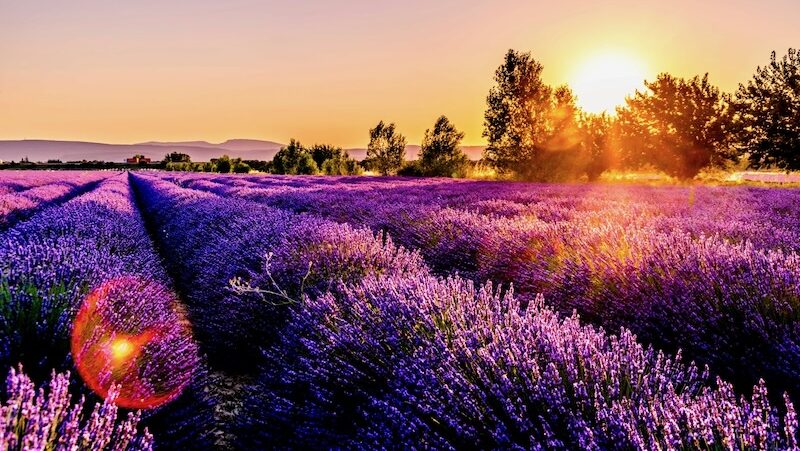 summer in provence best time to visit provence