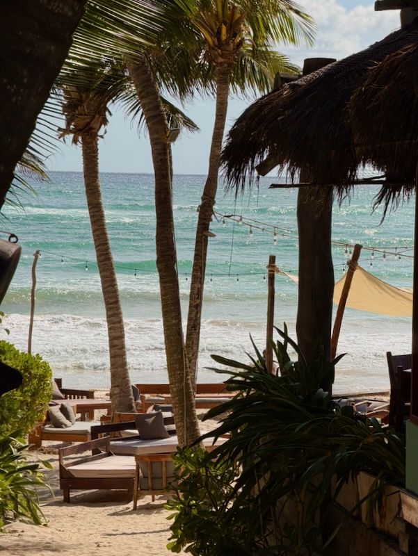 Tropical beach with palm trees