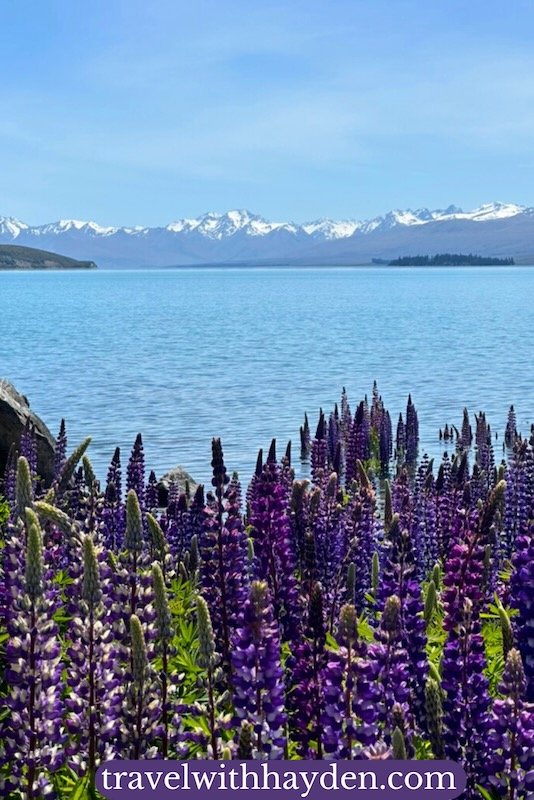 Views from Lake Tekapo of Mount Cook national park