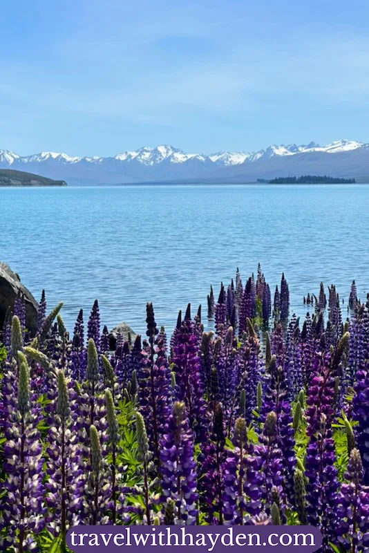 Views from Lake Tekapo of Mount Cook national park