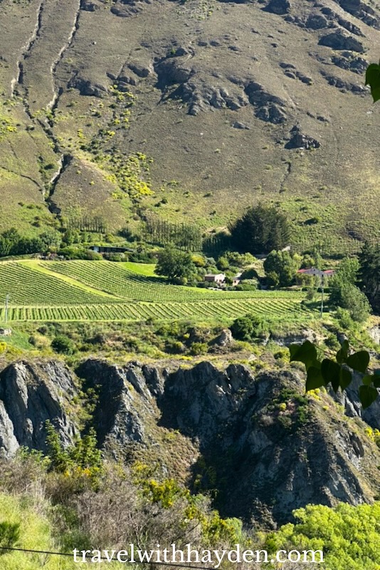 Gibbston Valley wineries view