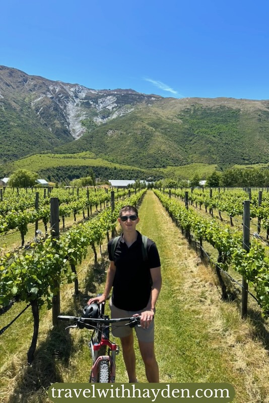 bike riding through the Gibbston Valley