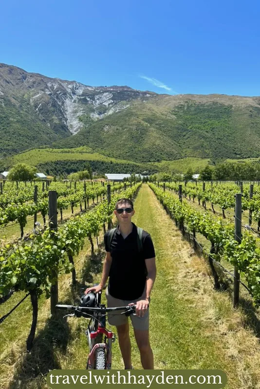 bike riding through the Gibbston Valley
