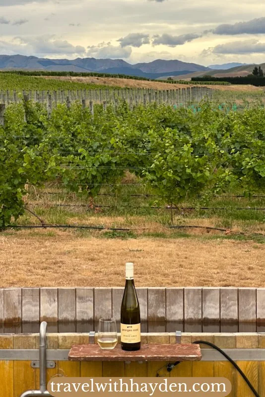 outdoor bathtub overlooking vineyard near Christchurch