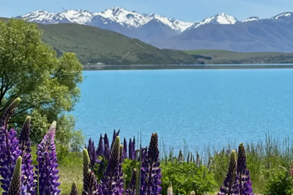is New Zealand worth visiting reasons why visit