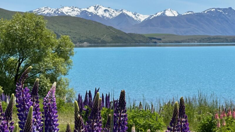 is New Zealand worth visiting reasons why visit