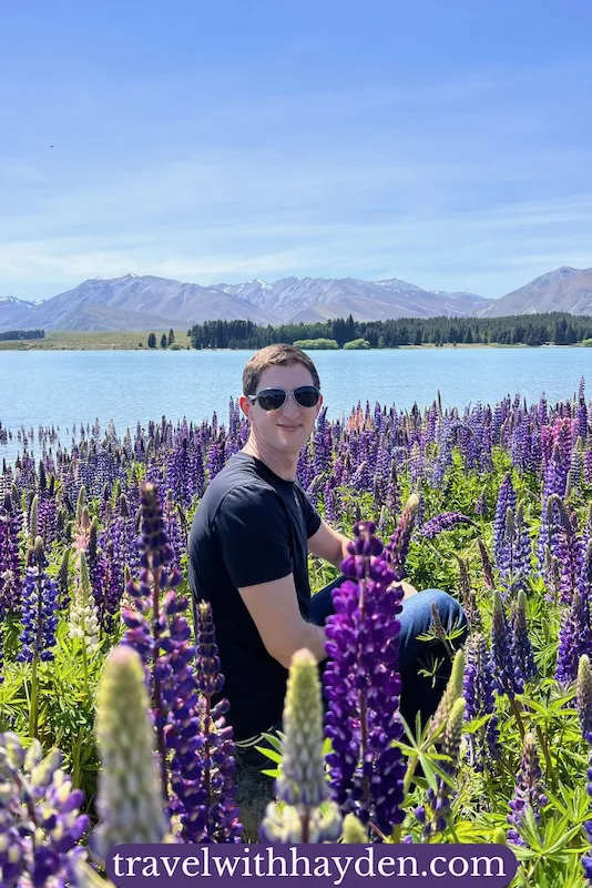 travel blogger sitting with lupins in blood at Lake Tekapo