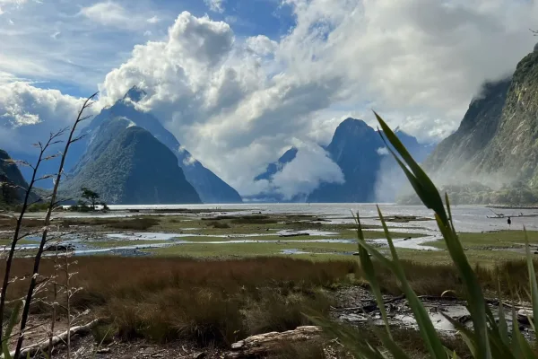 viewpoint of Milford Sound in Fiordland National Park