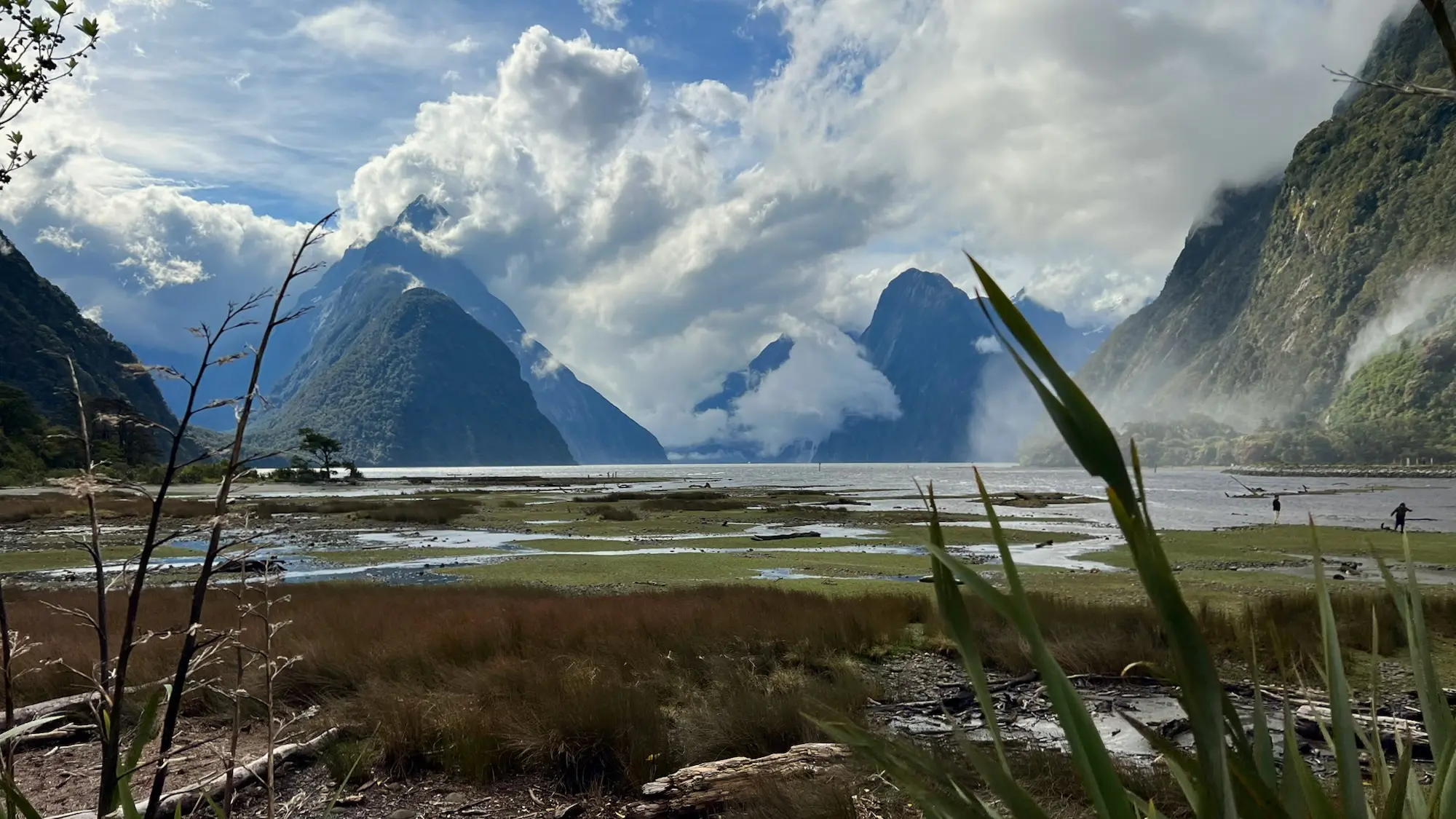 viewpoint of Milford Sound in Fiordland National Park